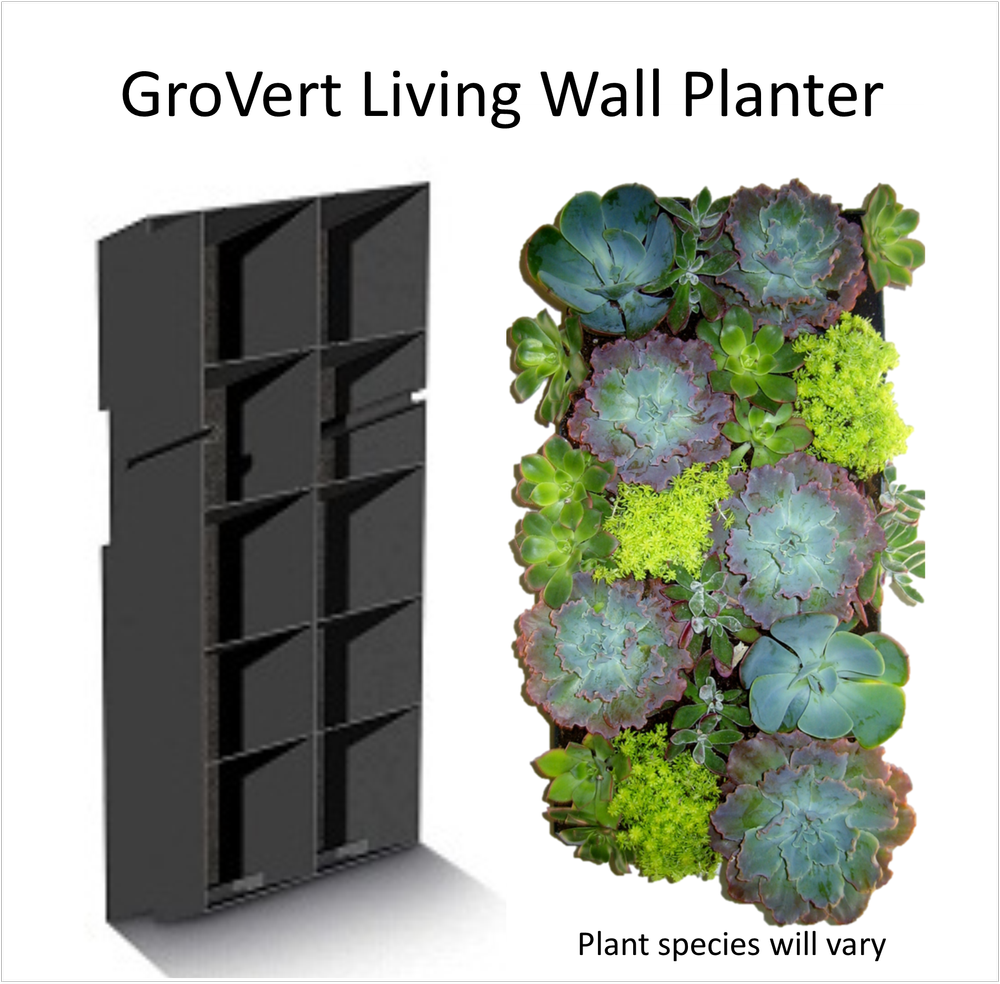 GroVert Living Wall — Edible Walls